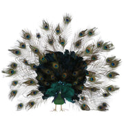 Elegant Peacock 41 x 7 Inches