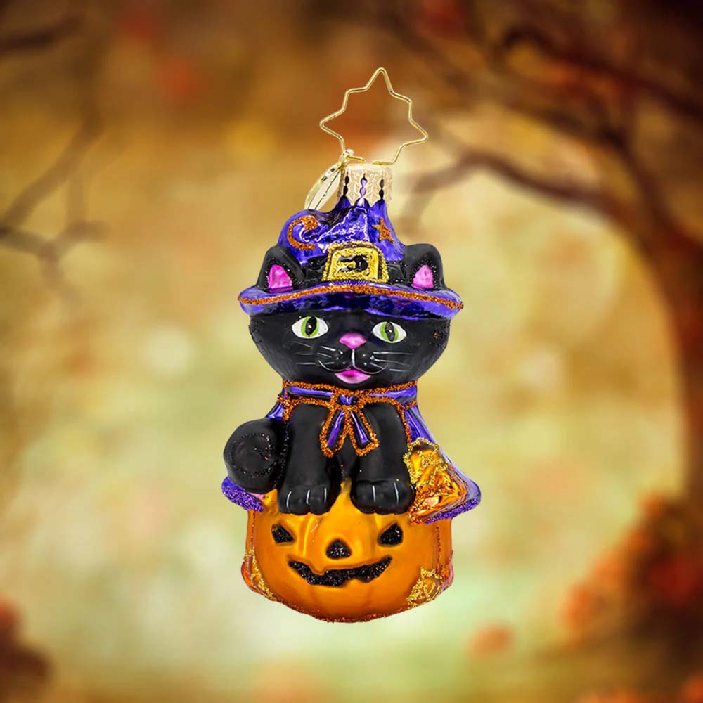 Witchy Whiskers Gem
