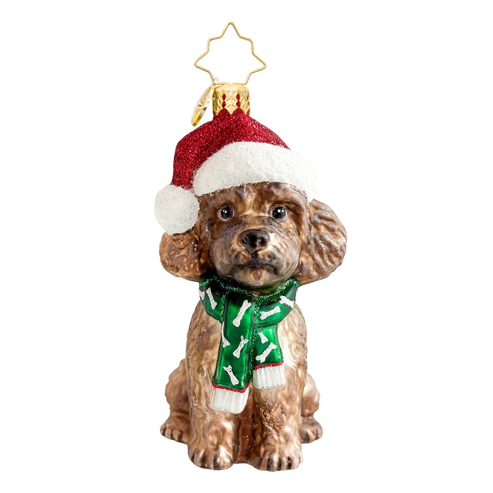 The Posh Poodle