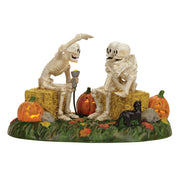 Scary Skeleton Stories