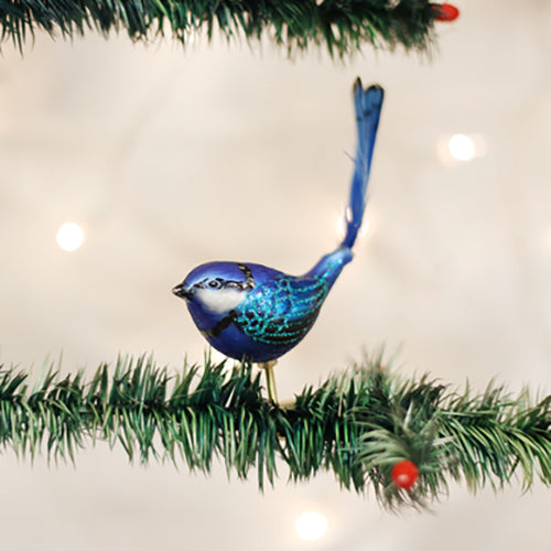 Fairy Wren