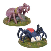 Spider Phobia