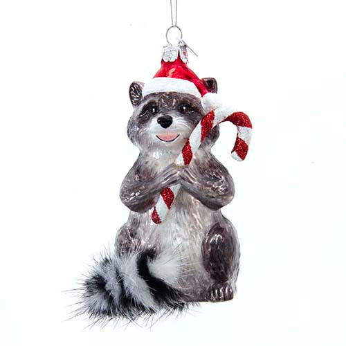 Raccoon with Candy Cane Glass Ornament 4.375"