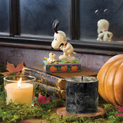 A Spooky Encounter Snoopy Scared by Woodstock Ghost