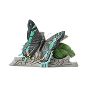 Goliath Butterfly Mini