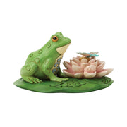 Lilypad Landing Frog on Lilypad