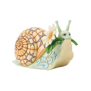Snail with Daisy Flower