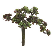 Green/Burgundy Sedum Pick 5 x 10"