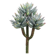 Green Mini Agave Pick 8"