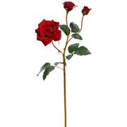 Bundle of 12 Red Garden Roses with 3 Blooms 19.5"