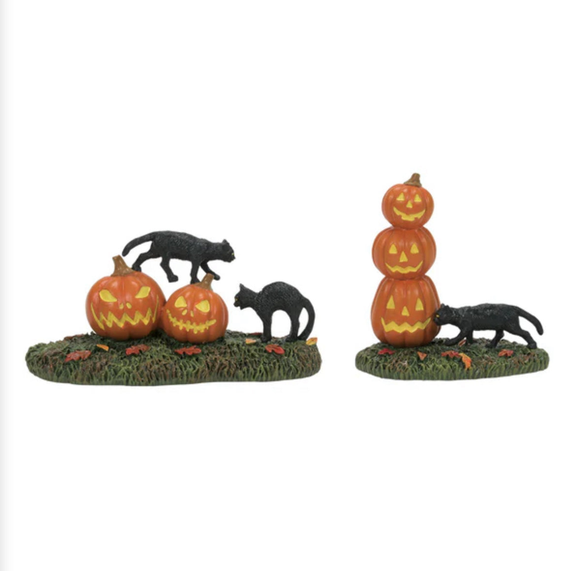 Scary Cats Pumpkins Set of 2