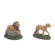 Zoological Gardens Lions Set of 2