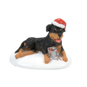 The Perfect Gift For Snots