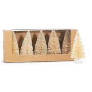 Box of Snowy Natural Bottle Brush Trees 4" Set of 5