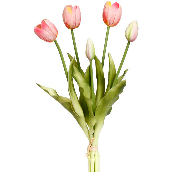 Blooming Tulip Bunch Variegated Pink 15"