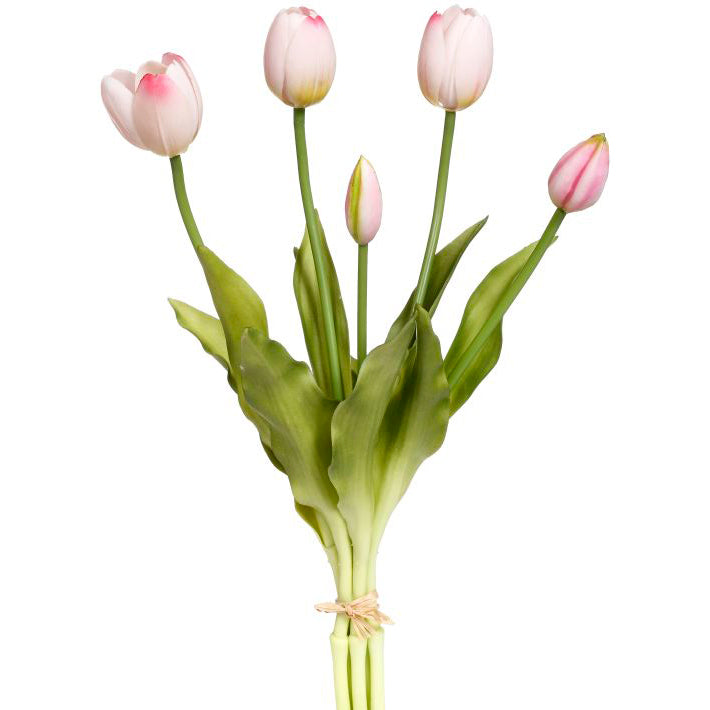 Blooming Tulip Bunch Light Pink 15"