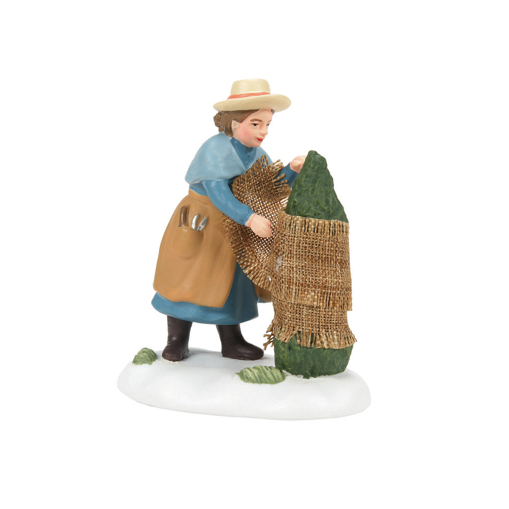 Preparing For The Frost