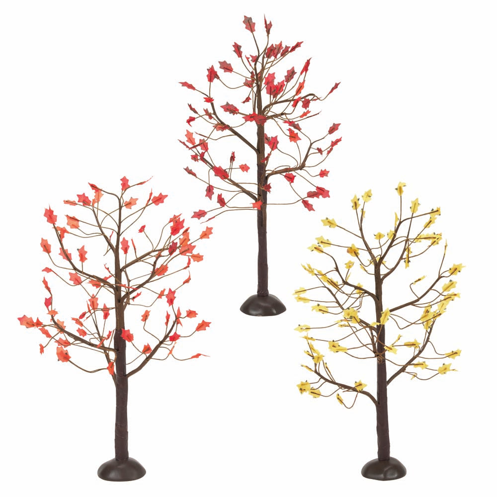 September Oaks Set of 3