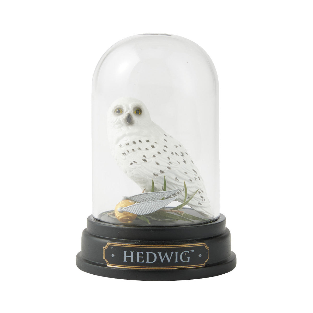 Hedwig Curiousity Cloche