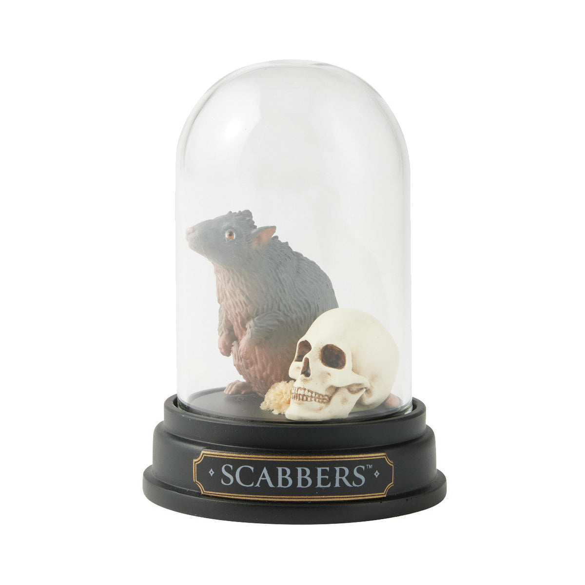 Scabbers Curiousity Cloche
