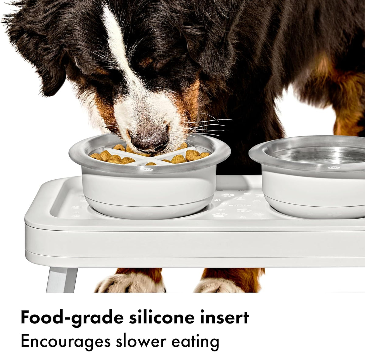 Pet Easy Clean Slow Feeder Medium