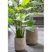 Fibre-Glass Faux Cement Planter 19 x 14"