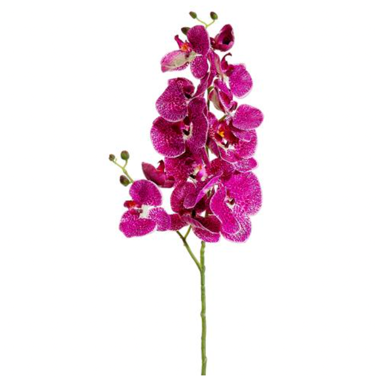 Orchid Phalaenopsis Spray 34"