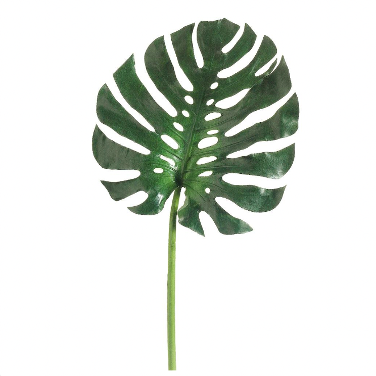 Monstera Leaf Spray 28.12"